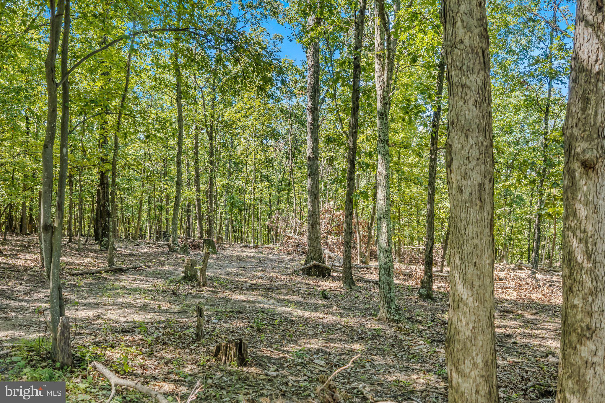 Farm View Lane Romney, WV 26757 - Photo 4 of 9 Lot 19