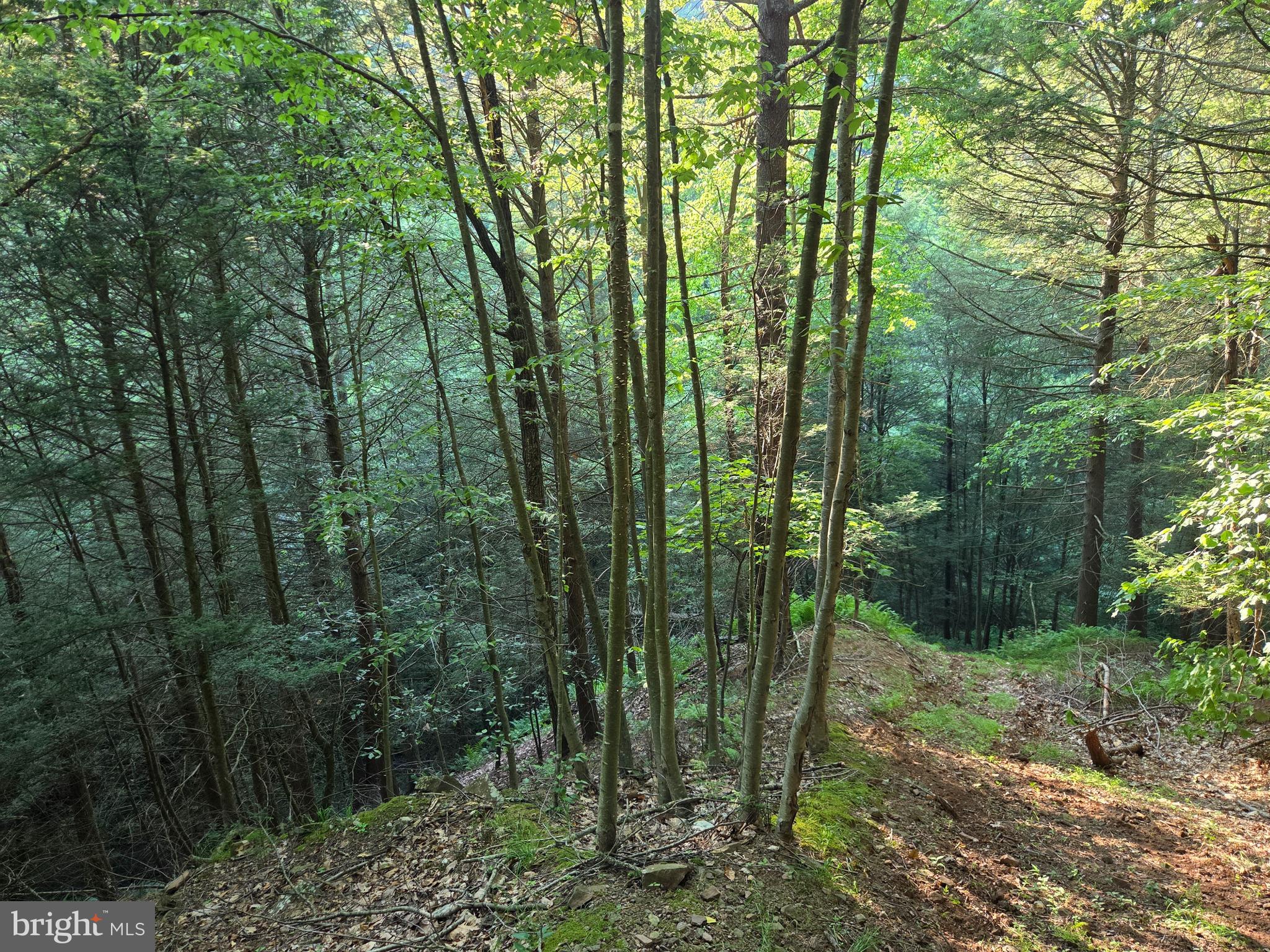 0 Carlisle Gap Road Lewistown, PA 17044 - Photo 22 of 53