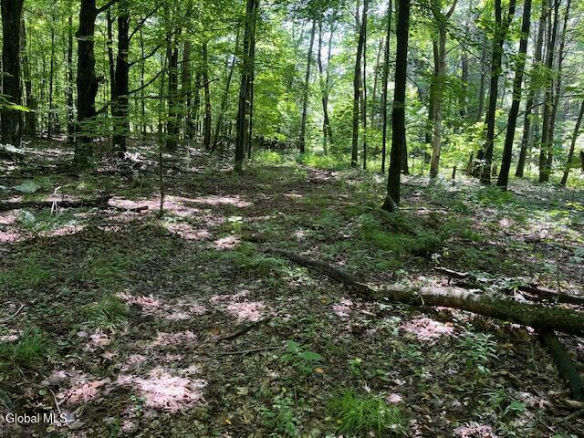 L4.111 Anderson Road Middleburgh, NY 12122 - Photo 15 of 32 IMG_5622