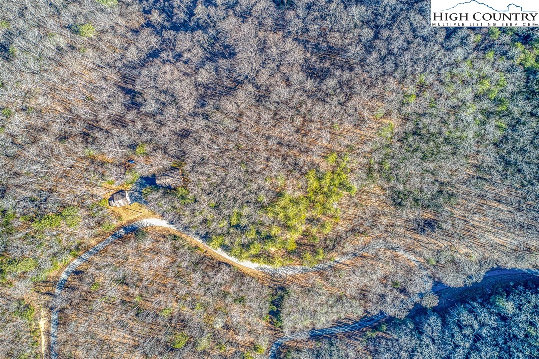 Lot 32 Sunset Ridge Butler, TN 37640 - Photo 11 of 17 a view of a dry yard with trees