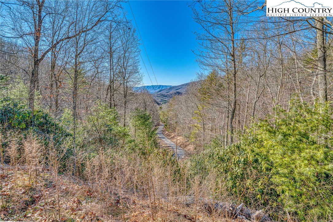 Lot 32 Sunset Ridge Butler, TN 37640 - Photo 5 of 17 a view of a backyard of the house