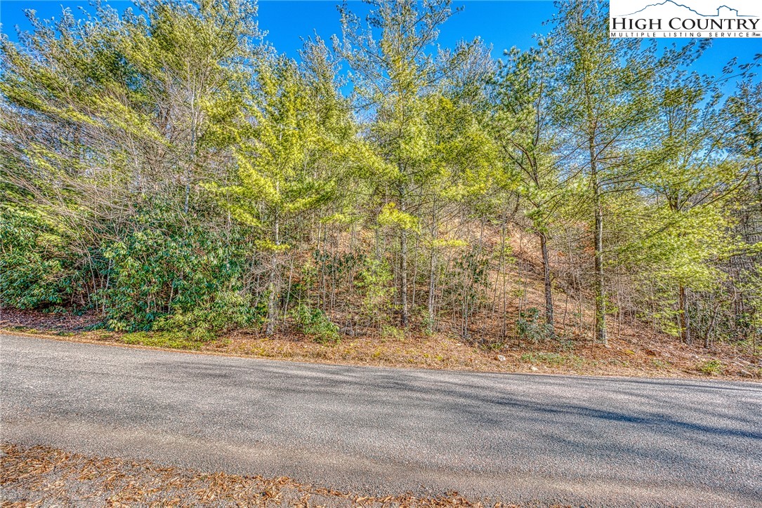 Lot 32 Sunset Ridge Butler, TN 37640 - Photo 6 of 17 a view of backyard and tree