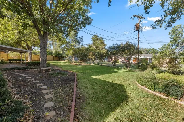 a view of a park with large trees