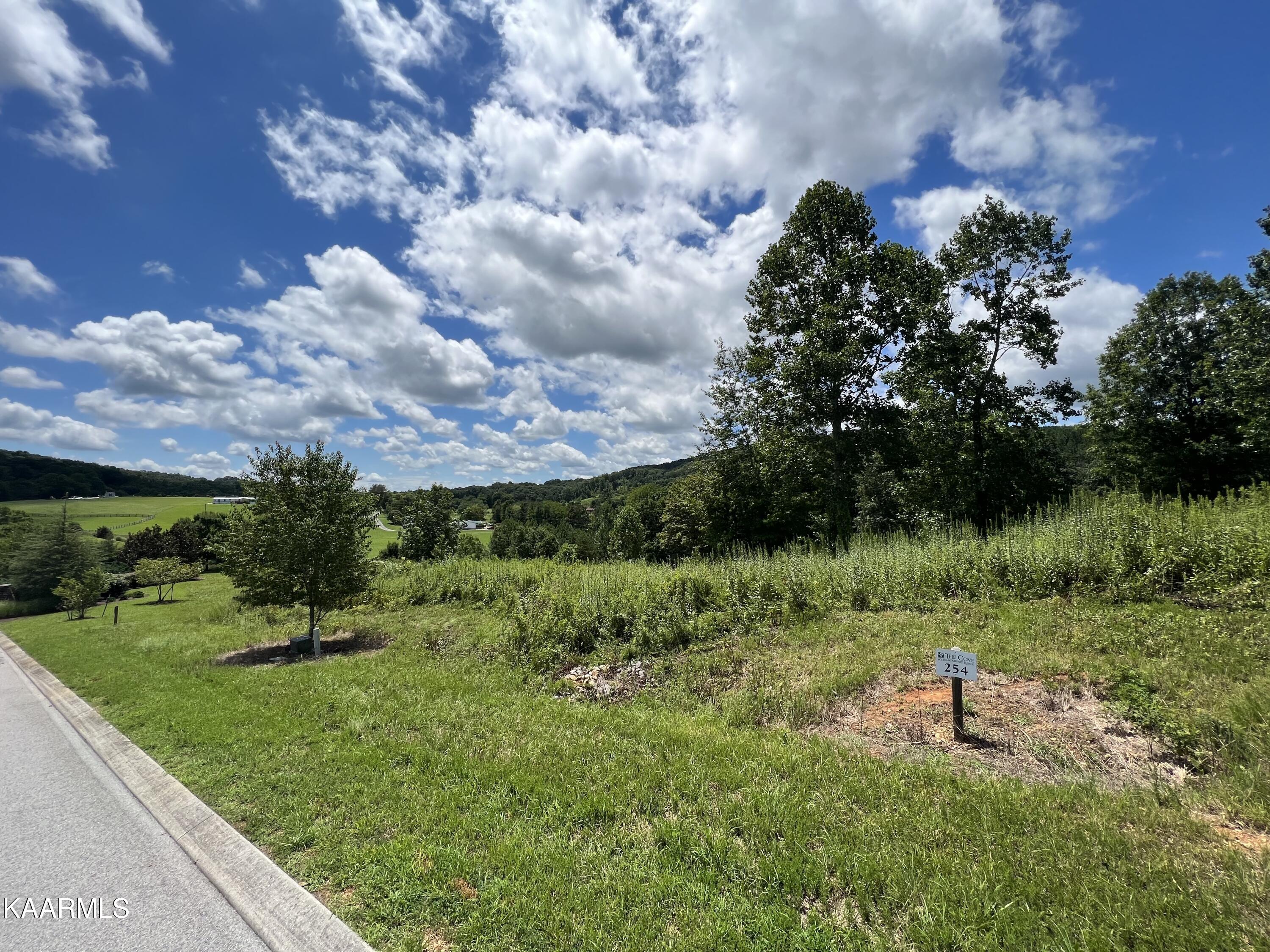 Lot 5 Huffine Road Loudon, TN 37774 - Photo 1 of 5 IMG_5028 copy