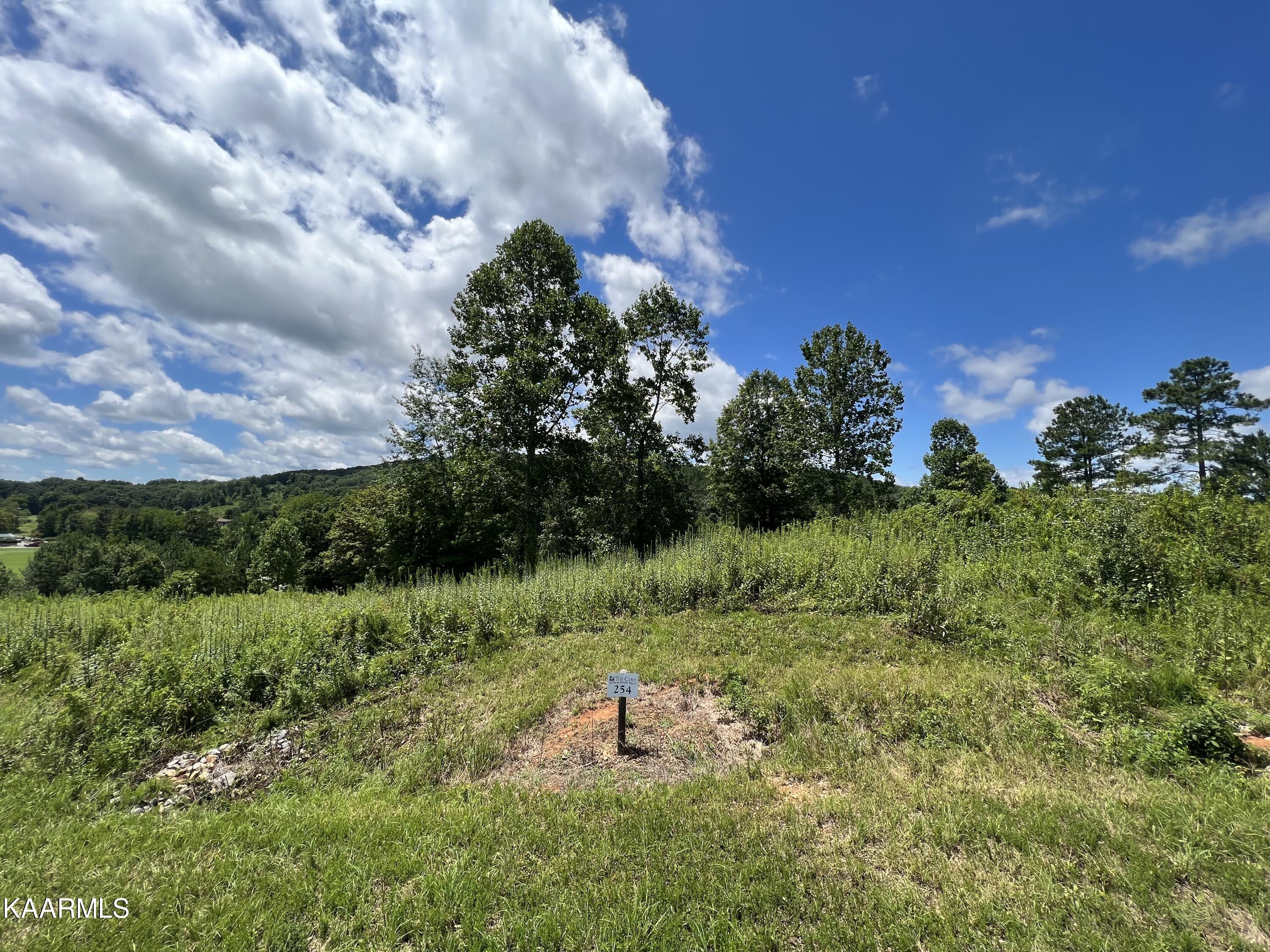 Lot 5 Huffine Road Loudon, TN 37774 - Photo 2 of 5 IMG_5030 copy