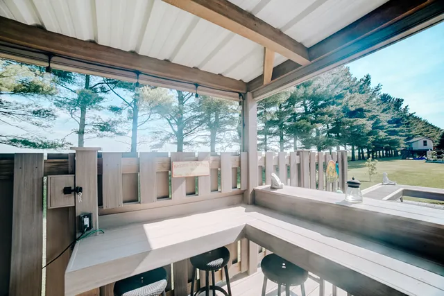 a view of a park with large trees