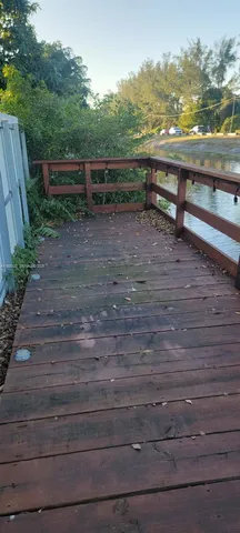 a view of backyard with a large tree