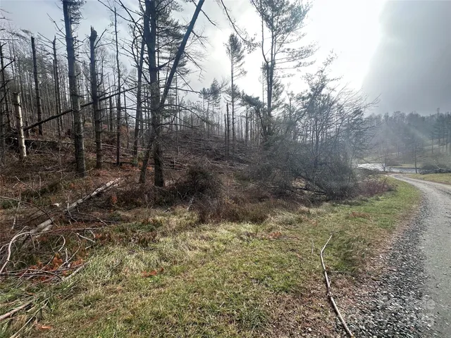 a view of a yard with large trees