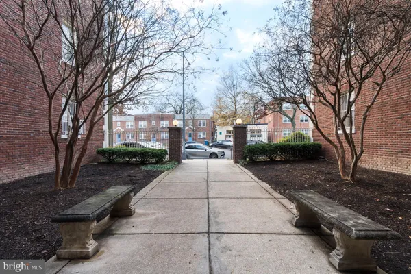 a view of a pathway with a yard