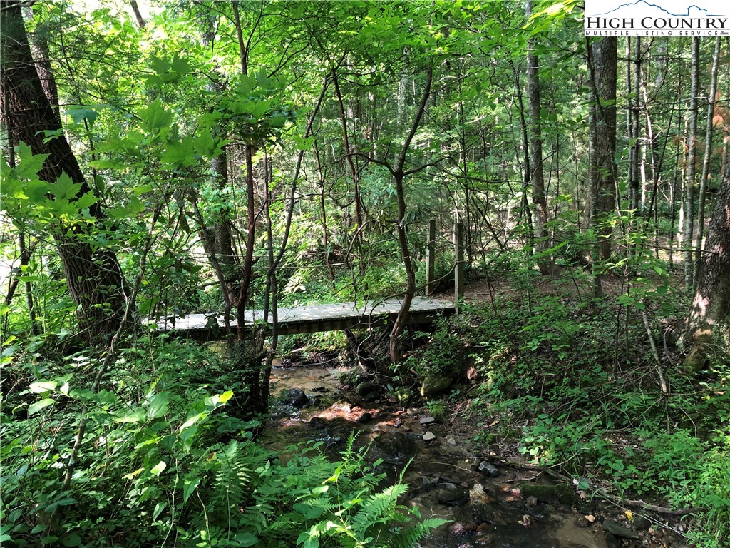 Lot 209 Casey Mountain Road Purlear, NC 28665 - Photo 26 of 38 a view of outdoor space and yard