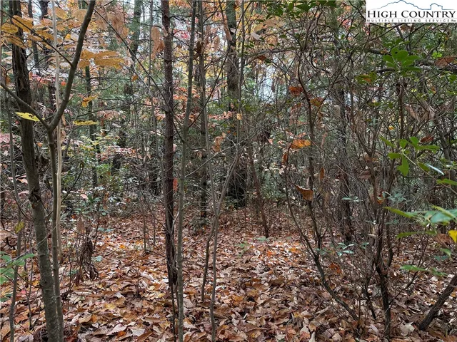 $59,900 | Lot 209 Casey Mountain Road, Purlear, NC 28665
