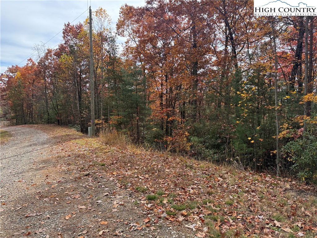 Lot 209 Casey Mountain Road Purlear, NC 28665 - Photo 5 of 38 a view of outdoor space with trees