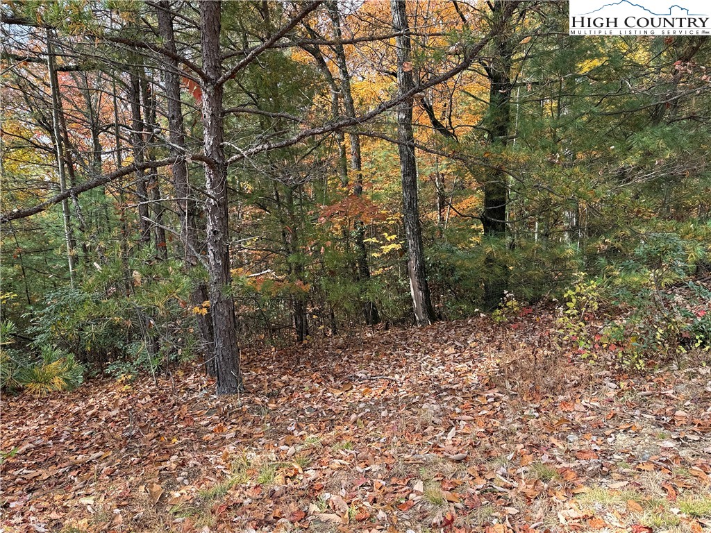 Lot 209 Casey Mountain Road Purlear, NC 28665 - Photo 5 of 37 a backyard of a house with lots of green space