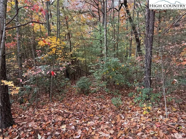 $59,900 | Lot 209 Casey Mountain Road, Purlear, NC 28665