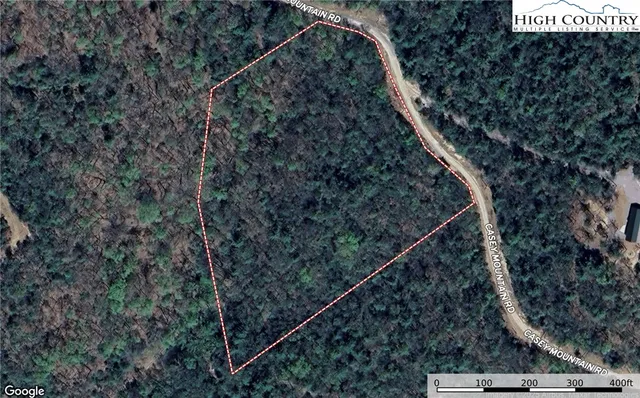 a view of a yard with plants