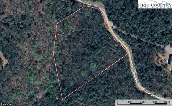 a view of a yard with plants