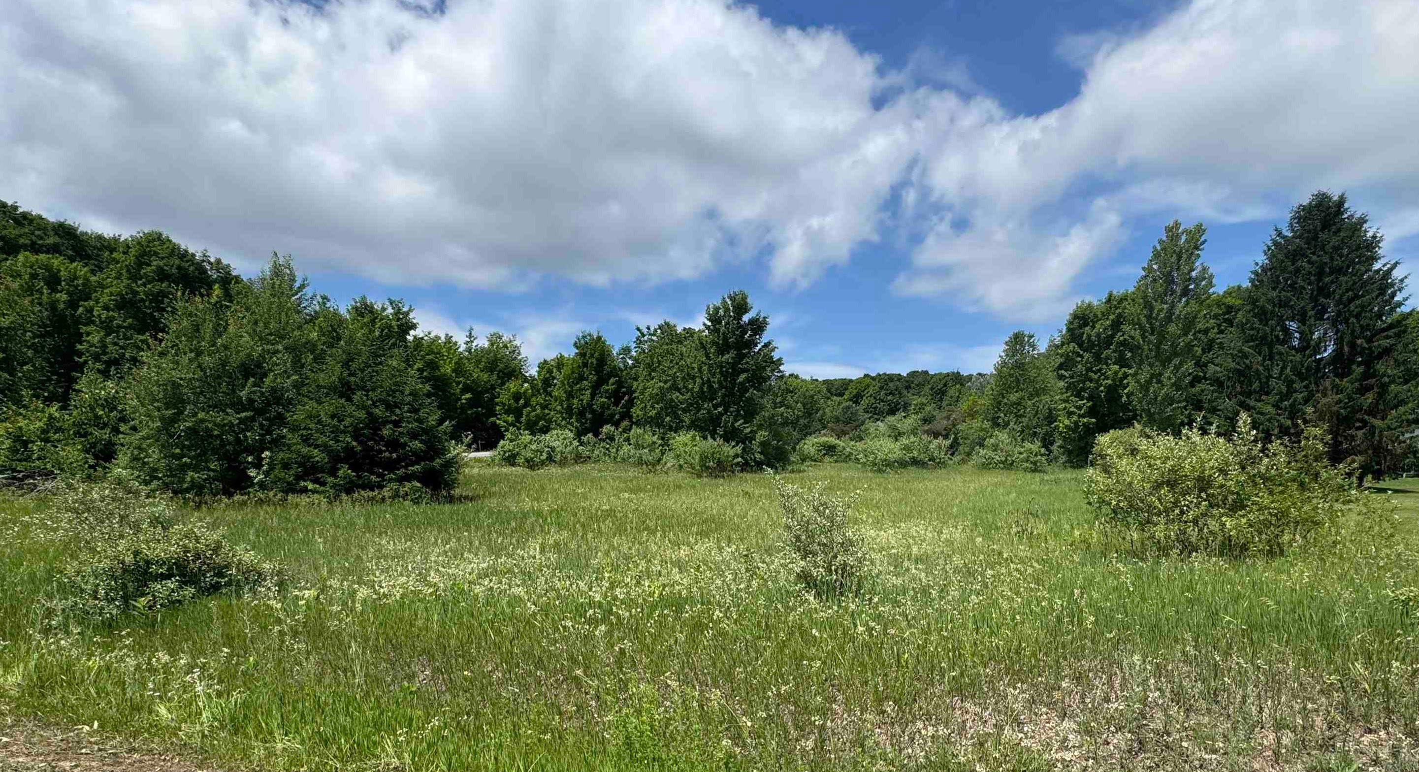 32 South Ski View Circle Cedar, MI 49621 - Photo 1 of 8
