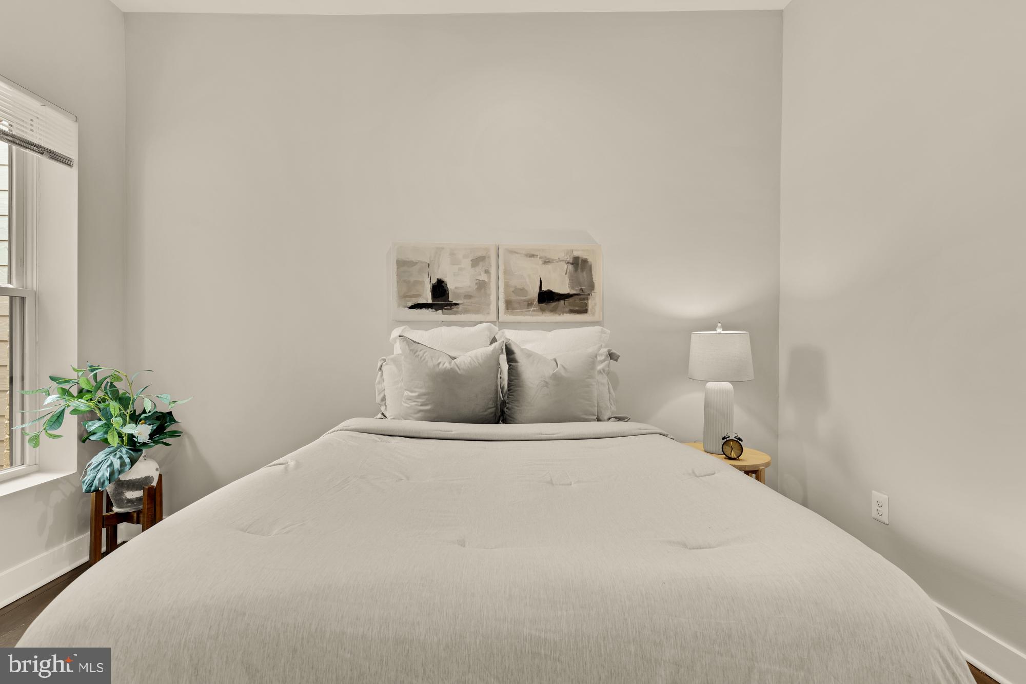 1605 F Street Northeast, Unit 4 Washington, DC 20002 - Photo 19 of 25 a bedroom with a bed and a potted plant