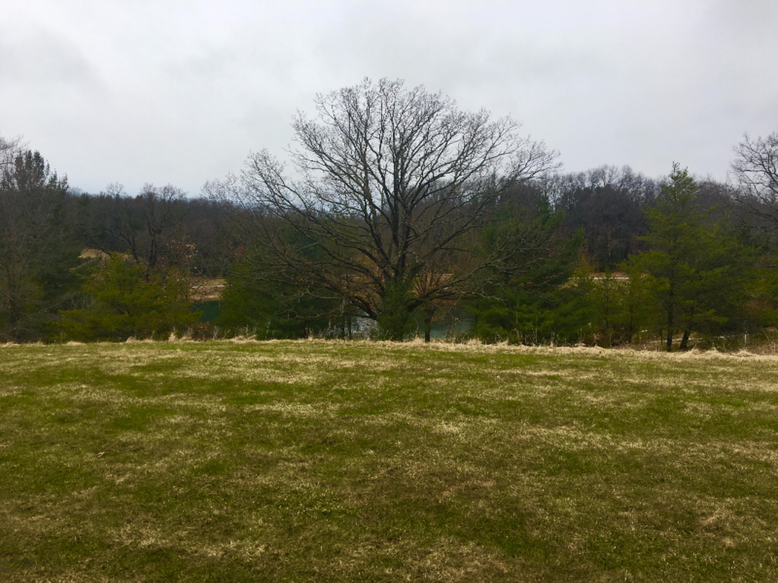 626 Ravine Drive Manistee, MI 49660 - Photo 20 of 29 View from patio at walk out
