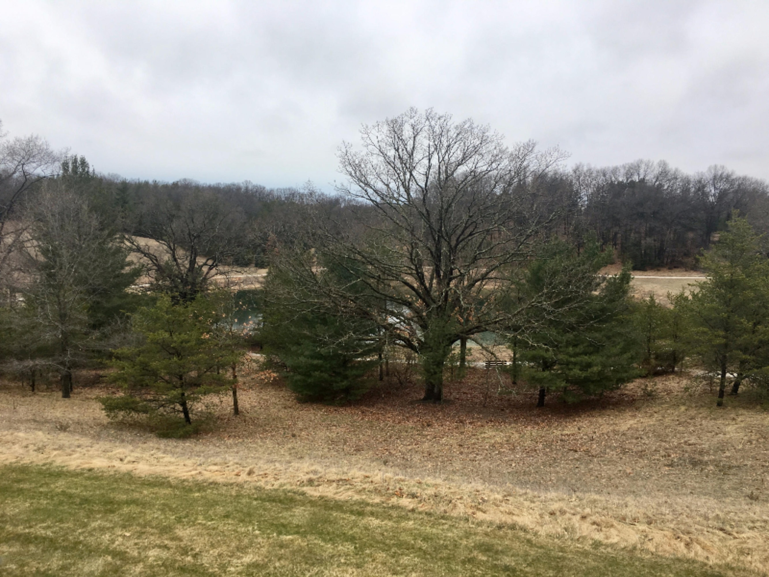 626 Ravine Drive Manistee, MI 49660 - Photo 21 of 29 View west from deck
