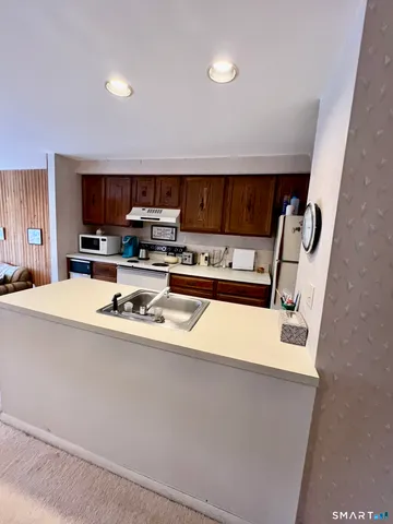 a kitchen with a sink a stove and a refrigerator