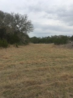 14811 Ranch Road Blanco, TX 78606 - Photo 11 of 12