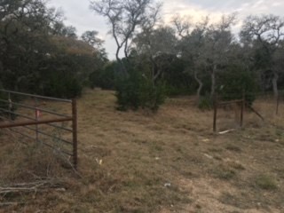 14811 Ranch Road Blanco, TX 78606 - Photo 3 of 12