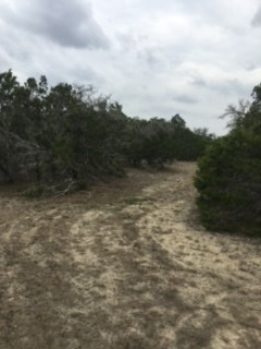 14811 Ranch Road Blanco, TX 78606 - Photo 5 of 12