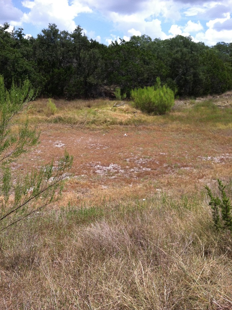 14811 Ranch Road Blanco, TX 78606 - Photo 8 of 12