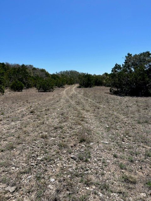 14811 Ranch Road Blanco, TX 78606 - Photo 10 of 12