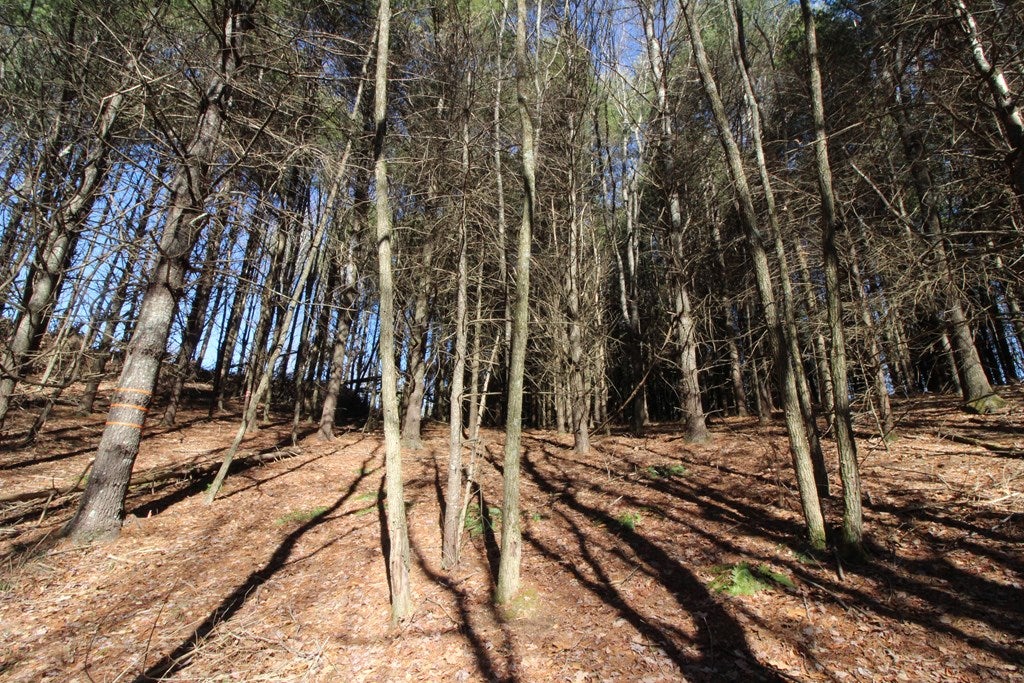 Tbd Ivanhoe Road, Unit 60A34 Fries, VA 24330 - Photo 13 of 45 Gallery Image 13