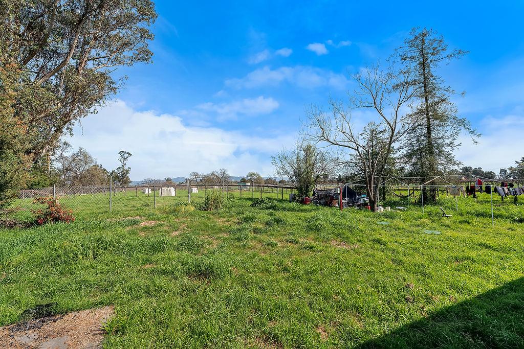 672 Irwin Lane Santa Rosa, CA 95401 - Photo 21 of 35 a yard with lots of green space