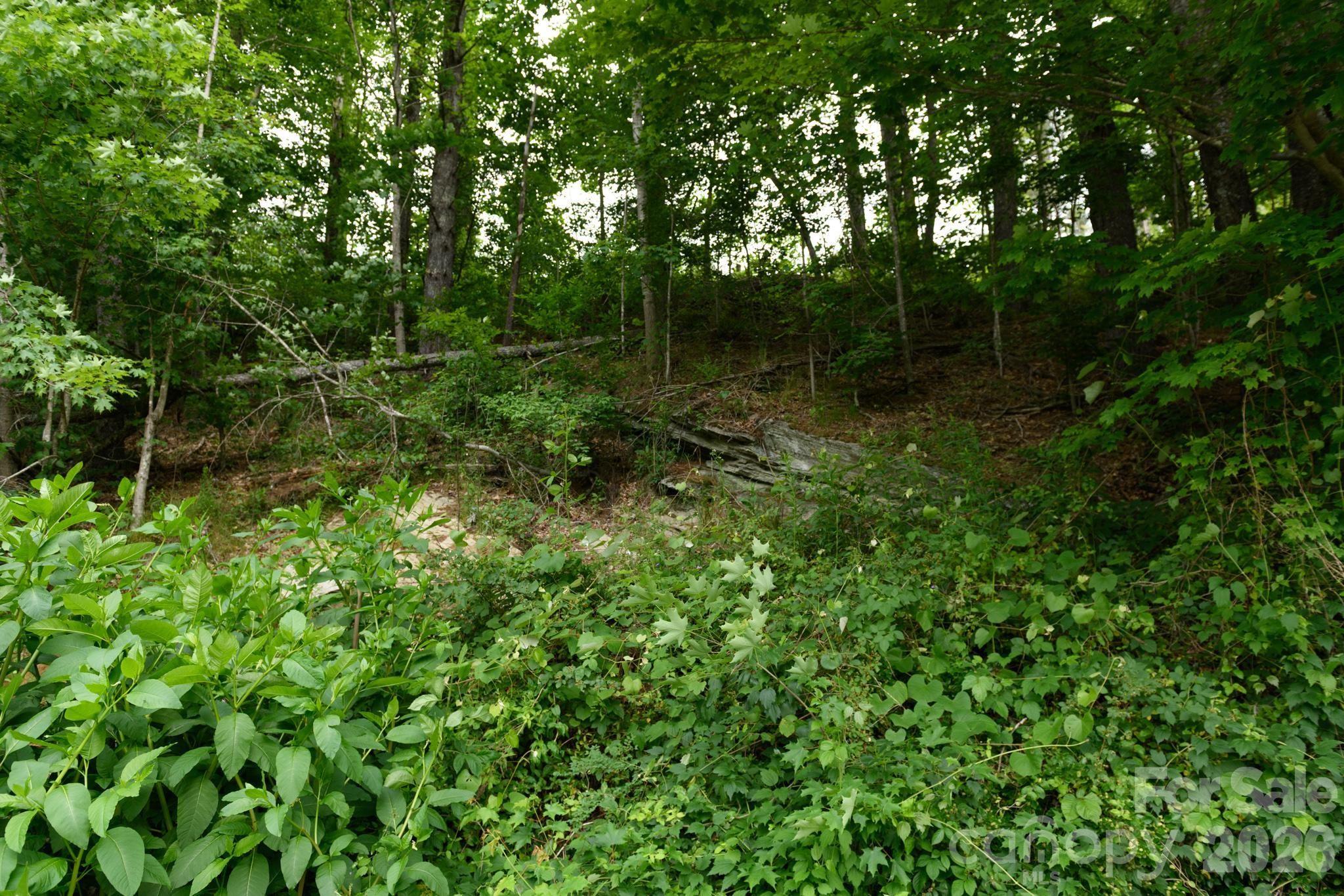 Tbd Tbd Sycamore Road Vilas, NC 28692 - Photo 15 of 38