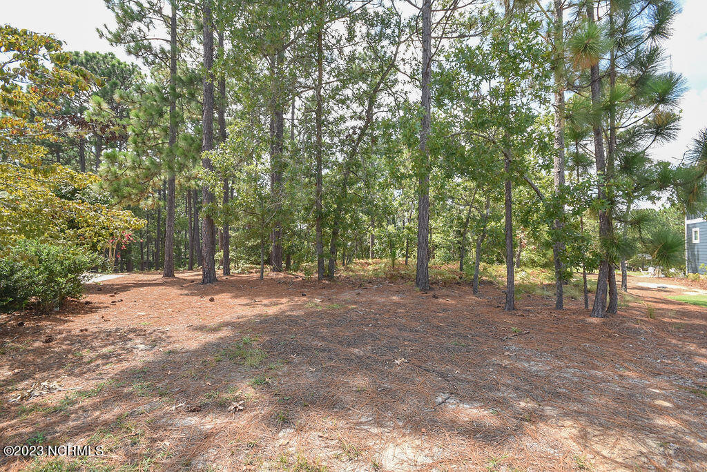 2 Riverside Court Pinehurst, NC 28374 - Photo 19 of 24 2RiversideCt-19