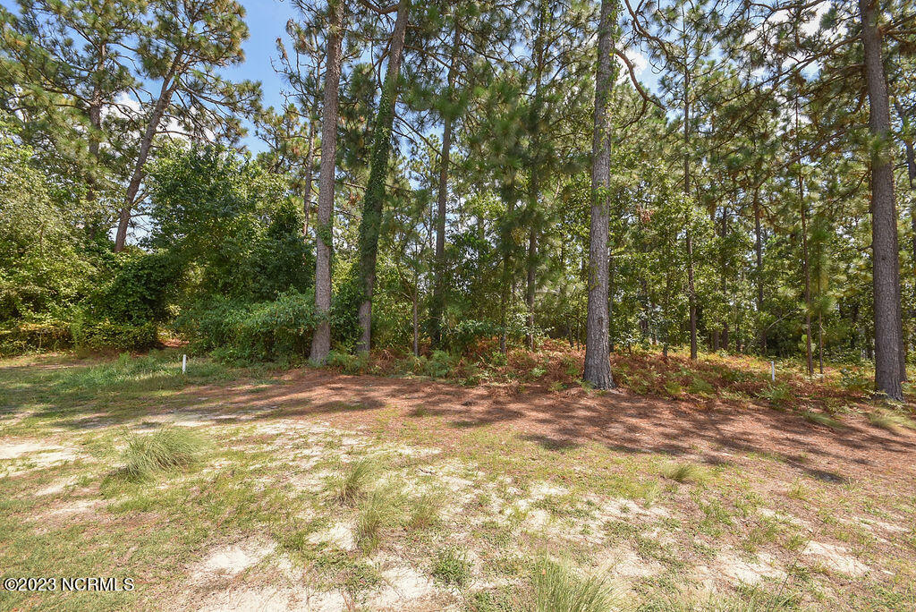 2 Riverside Court Pinehurst, NC 28374 - Photo 24 of 24 2RiversideCt-24