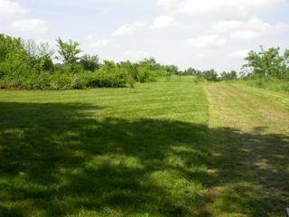 2975 Grimes Mill Road Lexington, KY 40515 - Photo 7 of 14 Photo 7