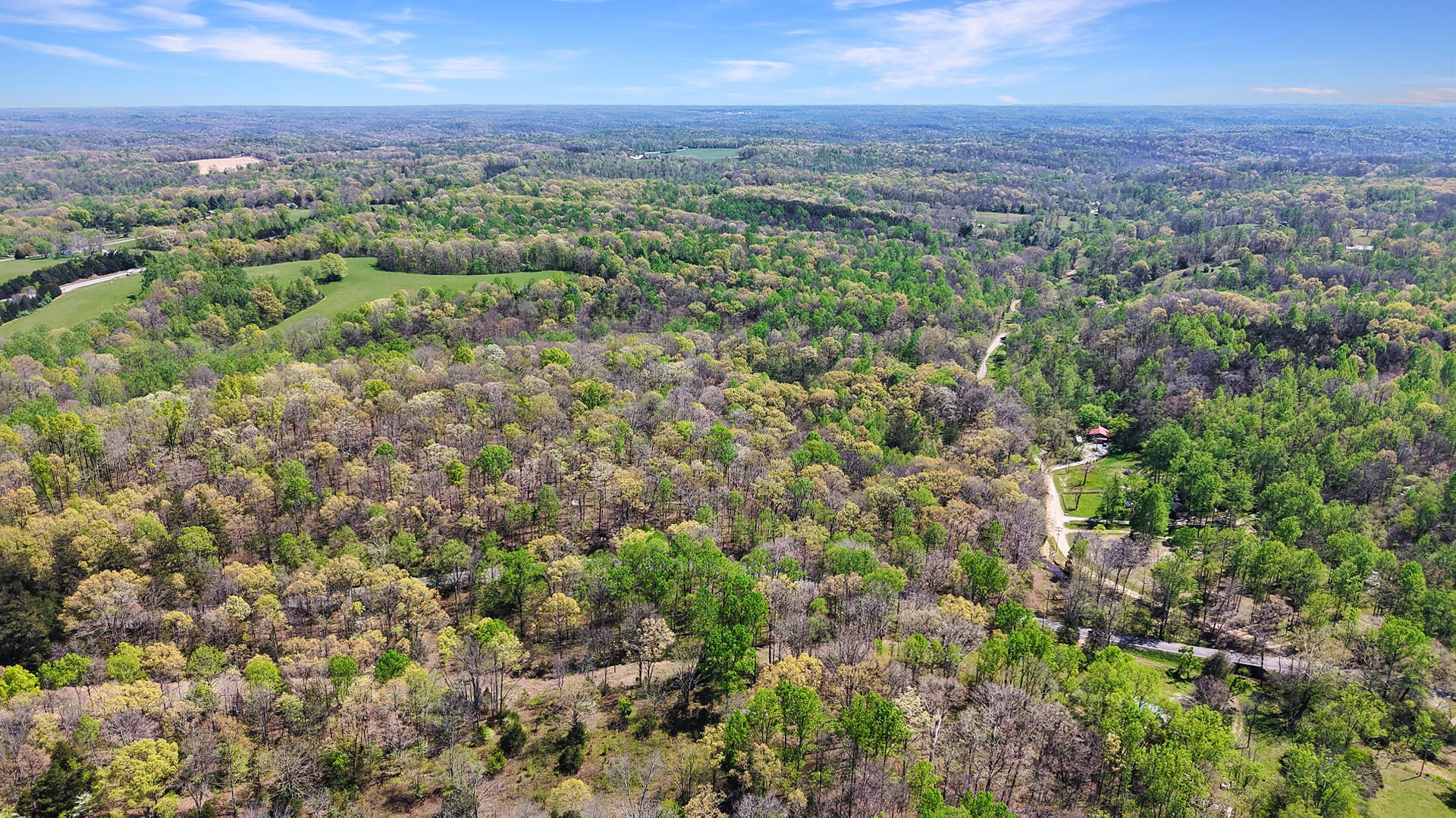 0 Brown Hollow Road Lyles, TN 37098 - Photo 7 of 18