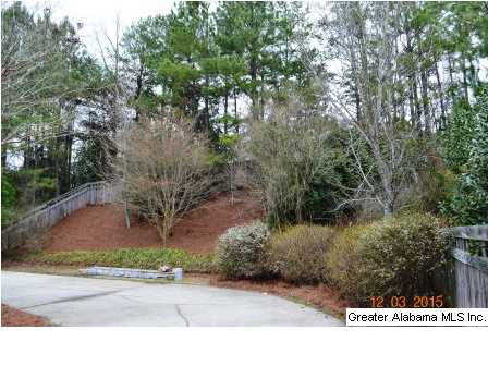4020 Alston Way Birmingham, AL 35242 - Photo 5 of 17