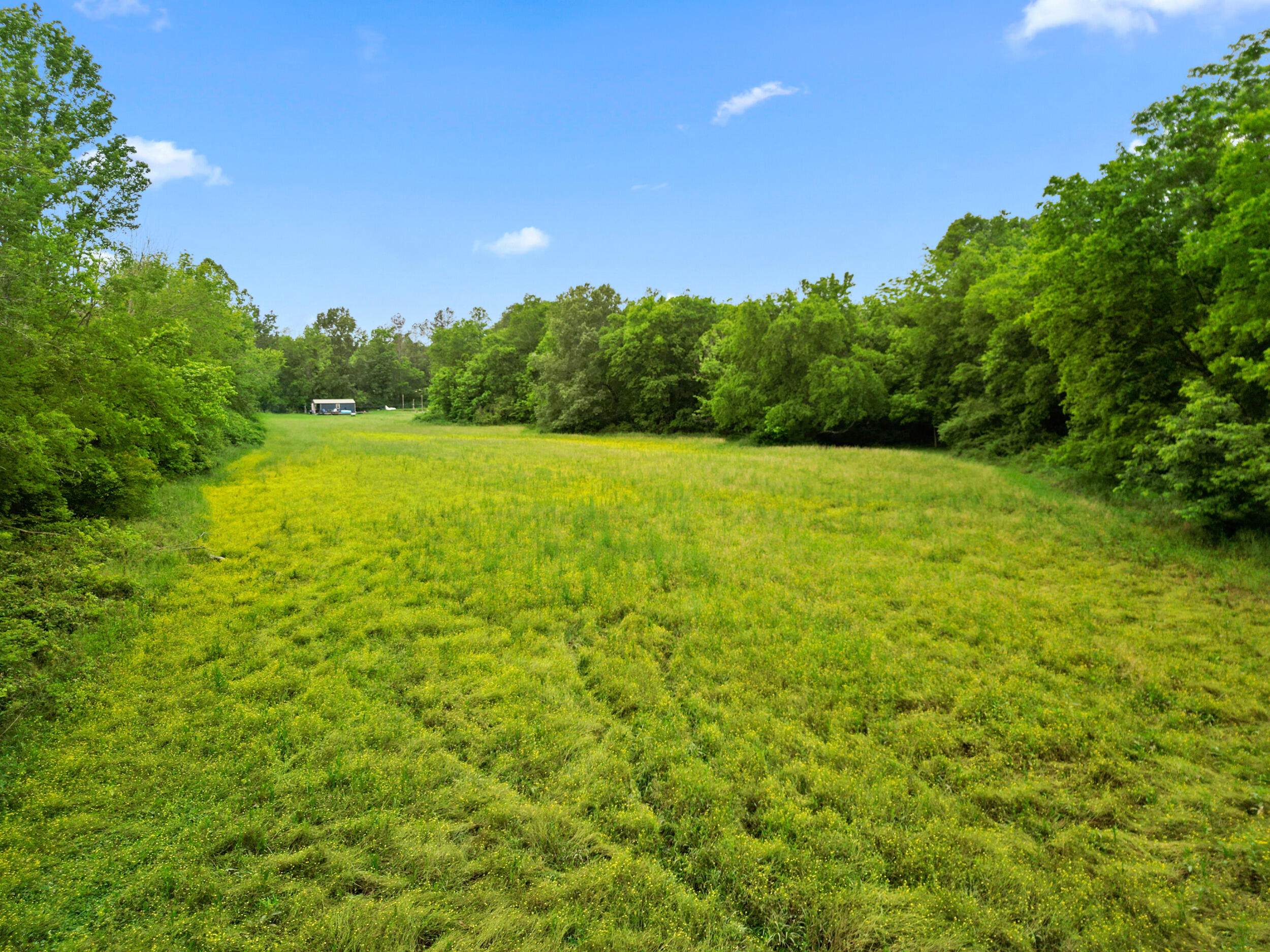 1721 Johnson Road Southeast Cohutta, GA 30710 - Photo 11 of 18 dji_0130