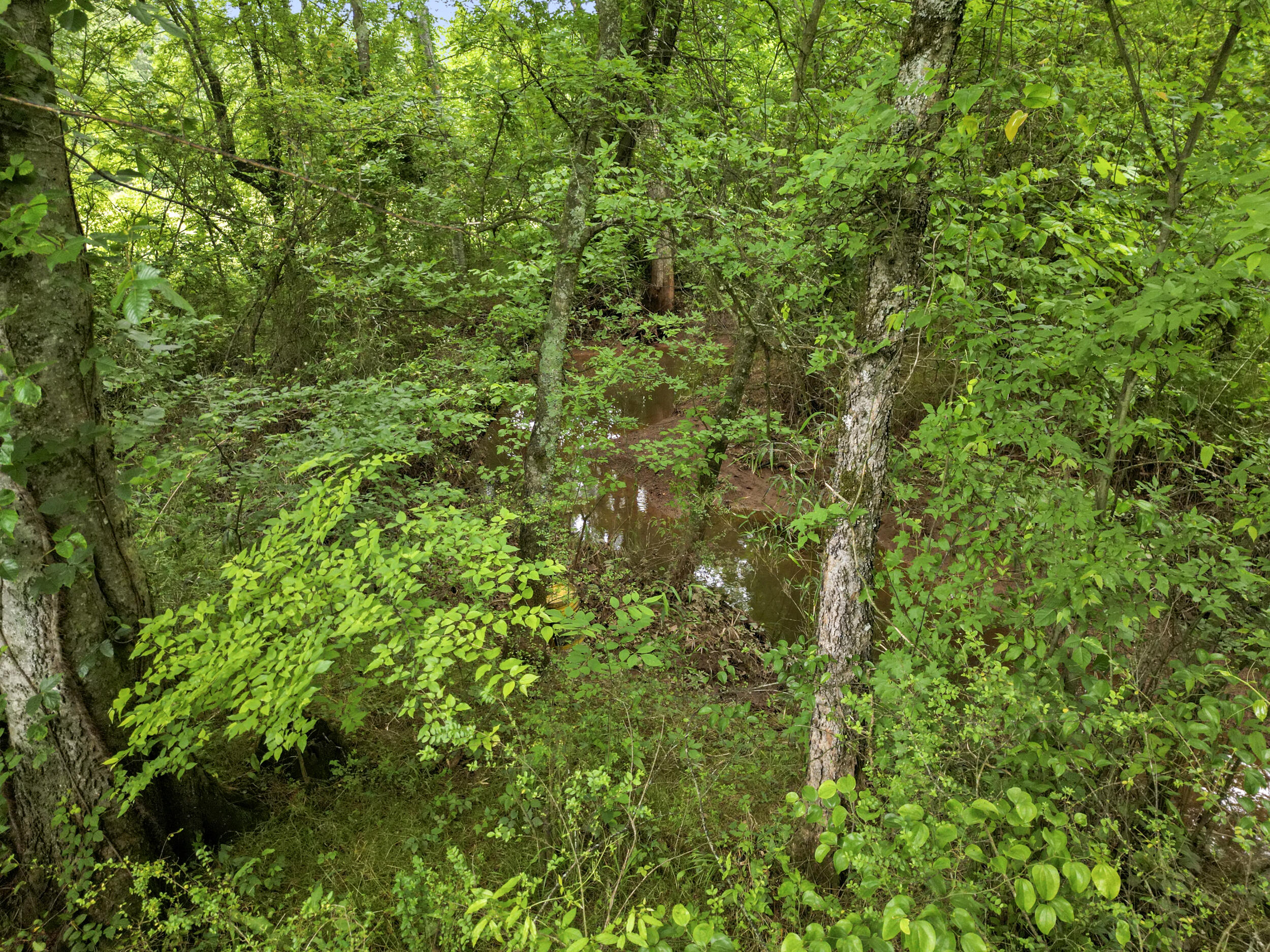 1721 Johnson Road Southeast Cohutta, GA 30710 - Photo 12 of 18 dji_0101