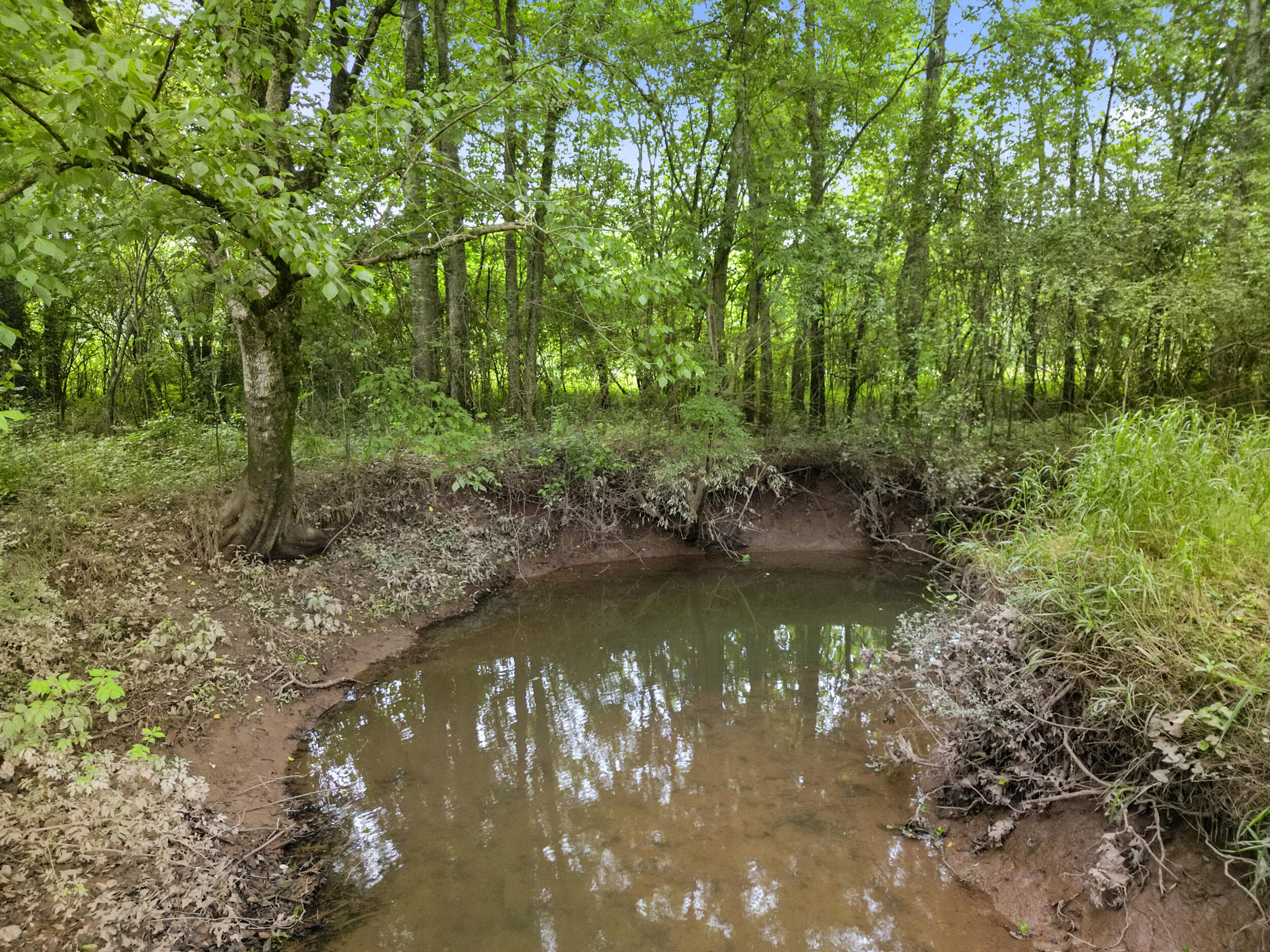 1721 Johnson Road Southeast Cohutta, GA 30710 - Photo 14 of 18 dji_0111
