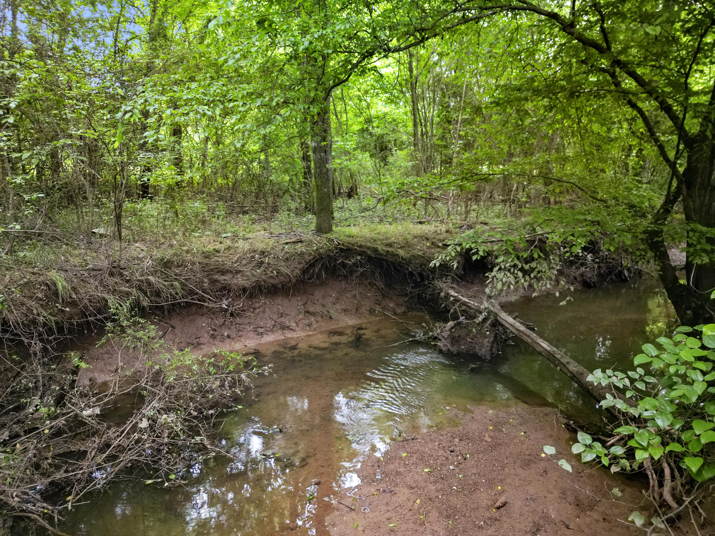 1721 Johnson Road Southeast Cohutta, GA 30710 - Photo 15 of 18 dji_0116