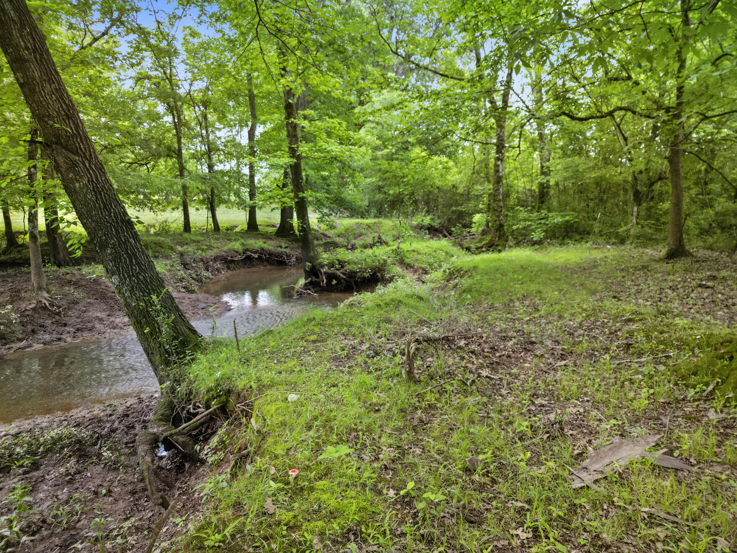1721 Johnson Road Southeast Cohutta, GA 30710 - Photo 17 of 18 dji_0136