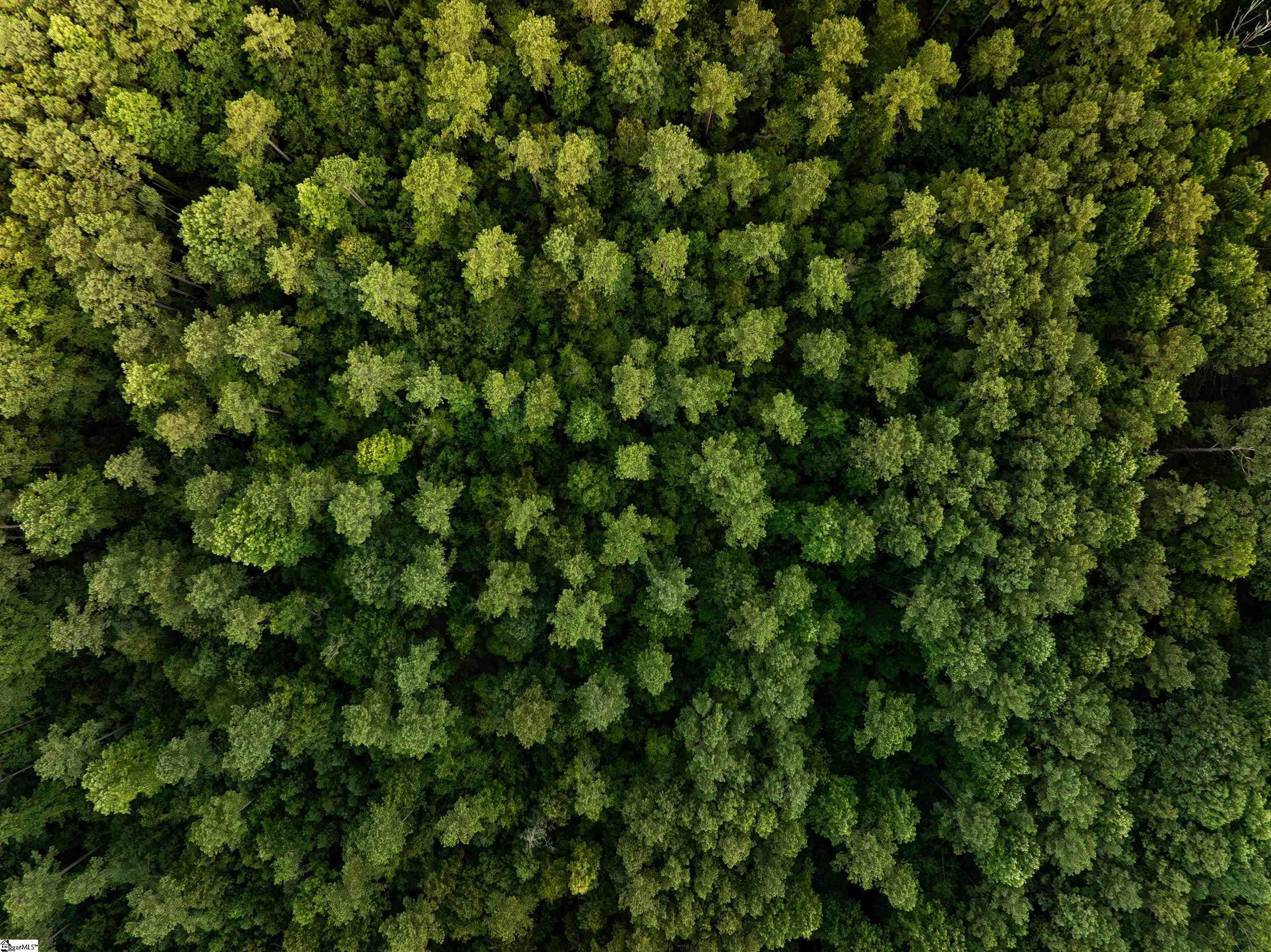 0 Old Post Road Gaffney, SC 29341 - Photo 25 of 30