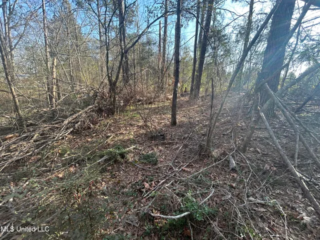 $18,950 | 0 Barnett Road, Summit, MS 39666