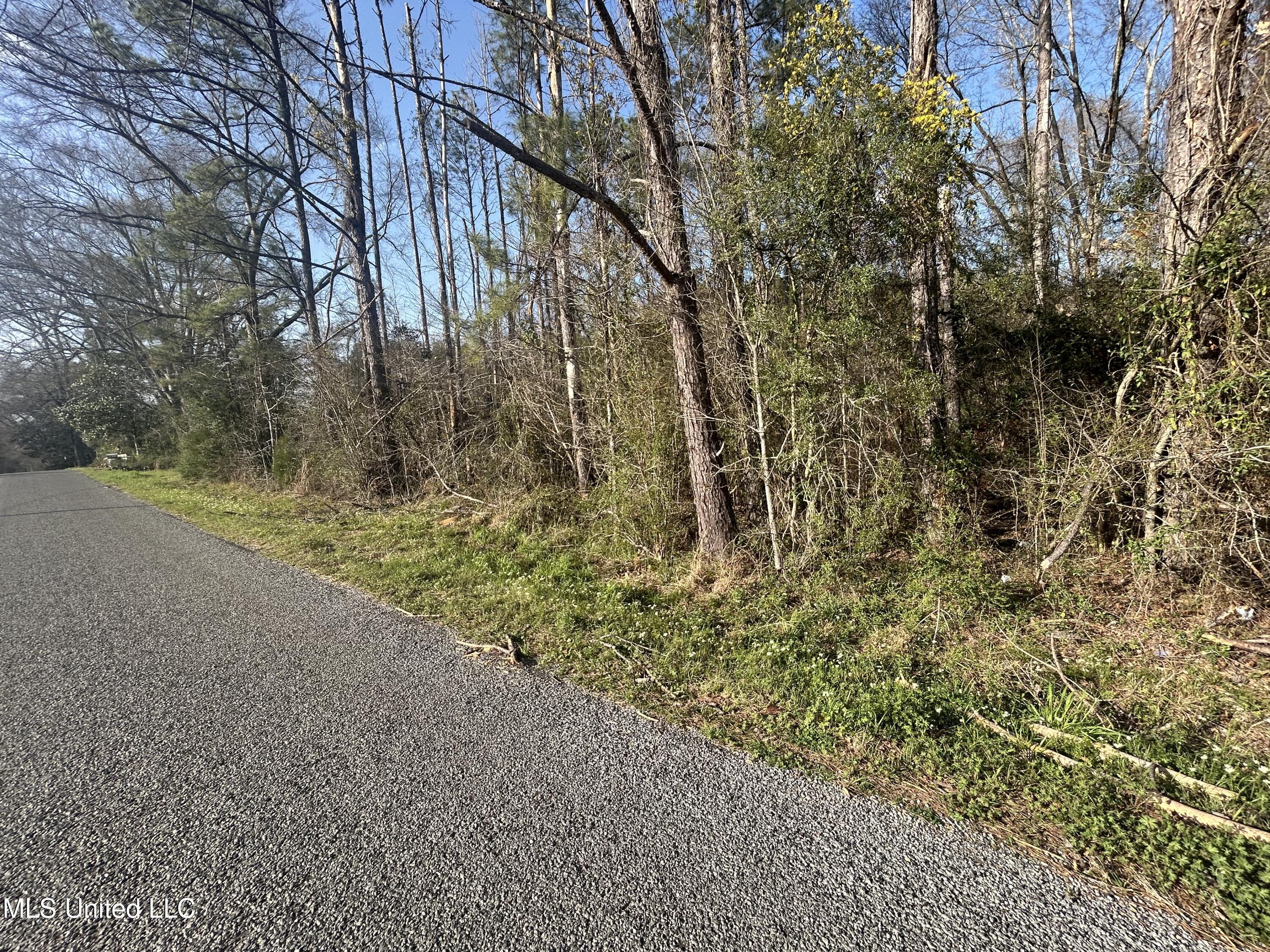 0 Barnett Road Summit, MS 39666 - Photo 3 of 5 IMG_8816