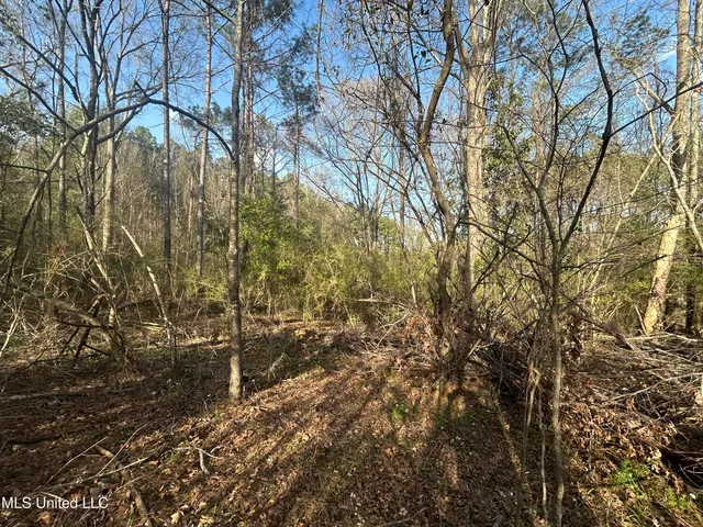 $18,950 | 0 Barnett Road, Summit, MS 39666