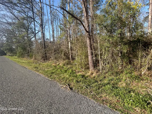$18,950 | 0 Barnett Road, Summit, MS 39666