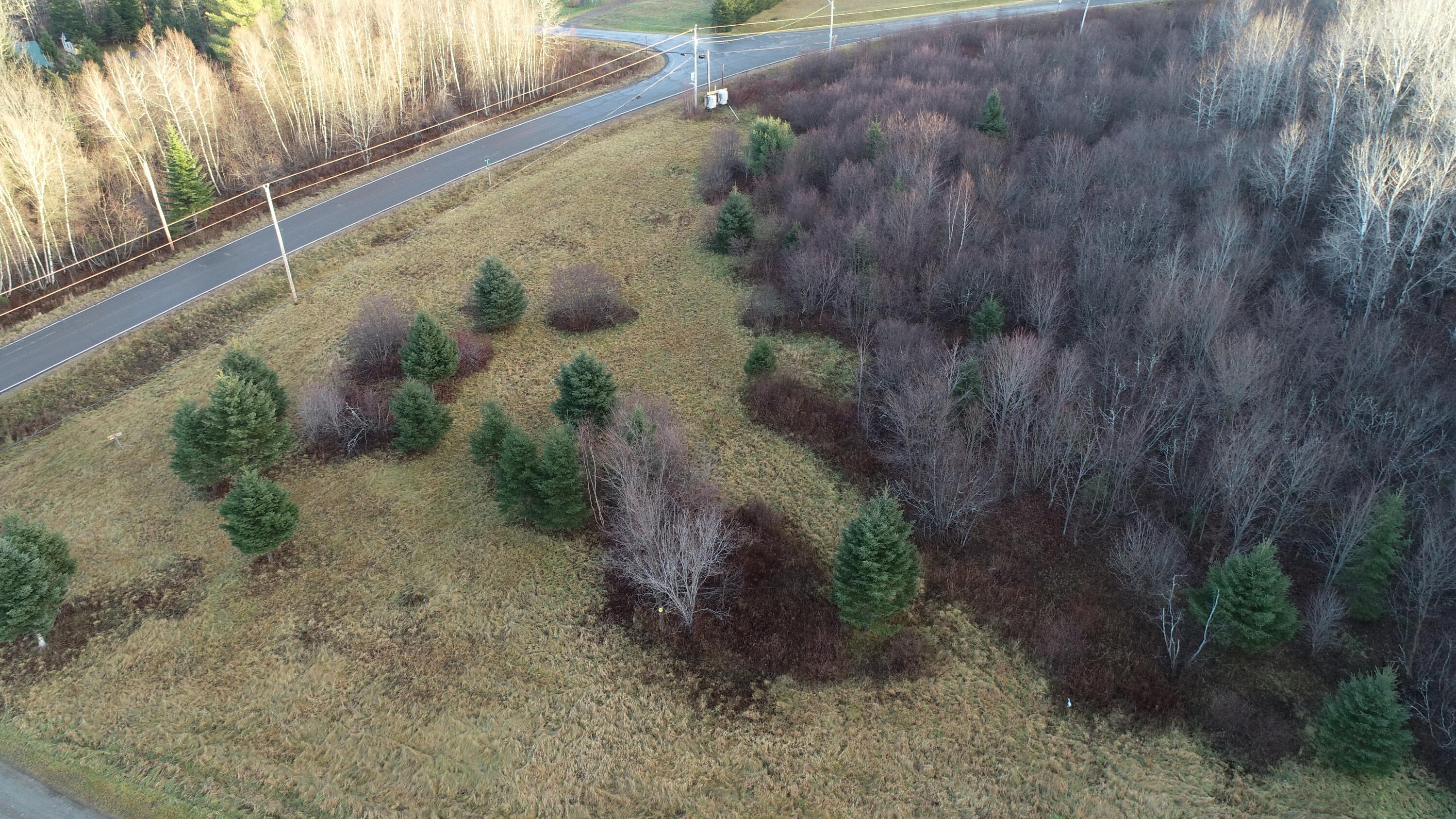 1155 Ferry Road Bancroft, ME 04497 - Photo 51 of 64 DJI_0504