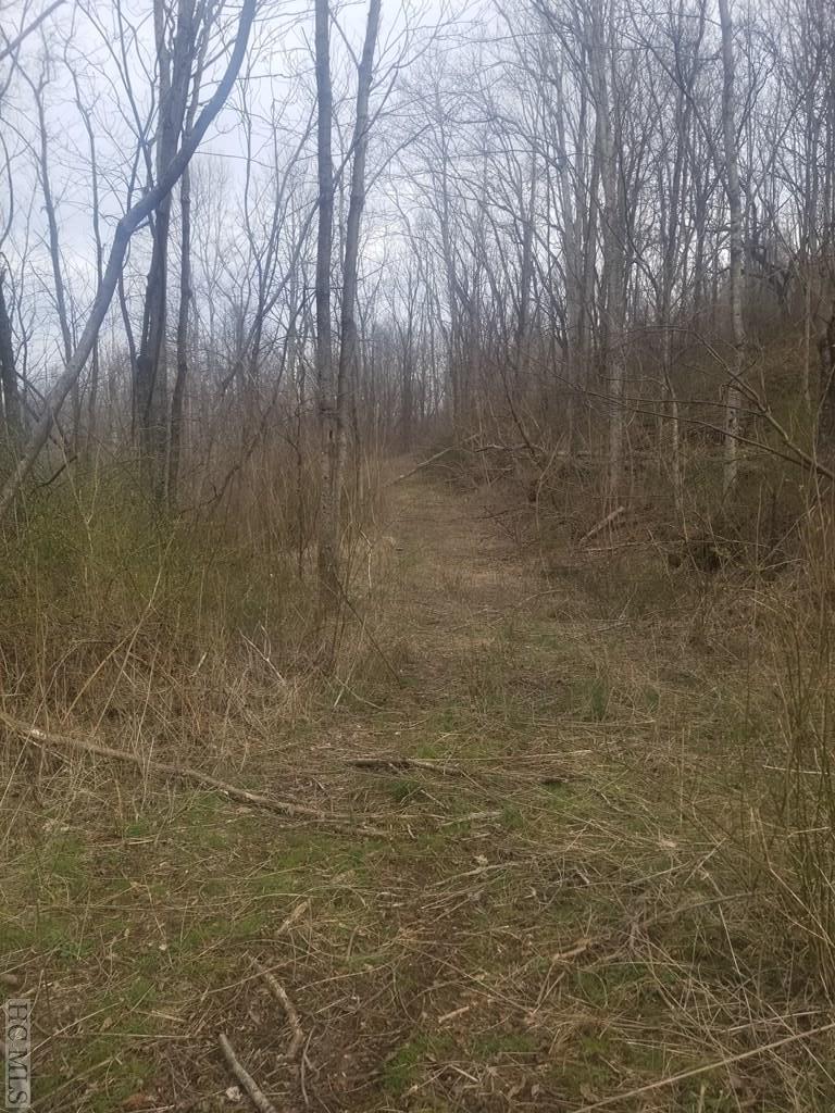 0 Pigeon Road Canton, NC 28716 - Photo 16 of 27 Gallery Image 16